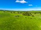 Photo - Lot 35 Lawless Lane (Via Mount Cone Road) , Myponga SA 5202 - Image 16