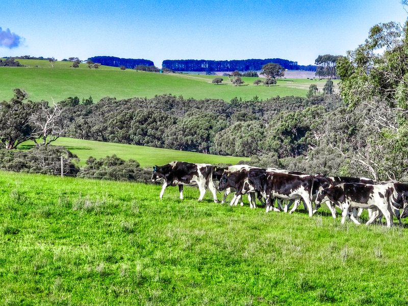 Photo - Lot 35 Lawless Lane (Via Mount Cone Road) , Myponga SA 5202 - Image 31