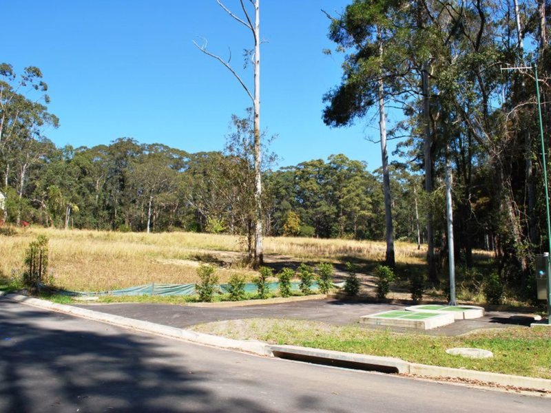 Photo - Lot 35 Mimiwali Drive, Bonville NSW 2450 - Image 6