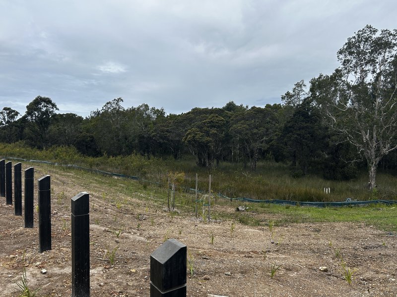 Photo - LOT 35 Moonee Creek Drive, Moonee Beach NSW 2450 - Image 9