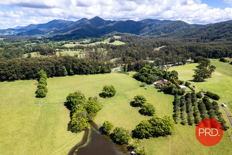 Photo - Lot 352 214 Pine Creek Way, Bonville NSW 2450 - Image 15