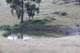 Photo - Lot 352 Splitters Gully Road, Nundle NSW 2340 - Image 2