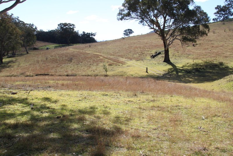 Photo - Lot 352 Splitters Gully Road, Nundle NSW 2340 - Image 4