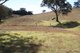 Photo - Lot 352 Splitters Gully Road, Nundle NSW 2340 - Image 4