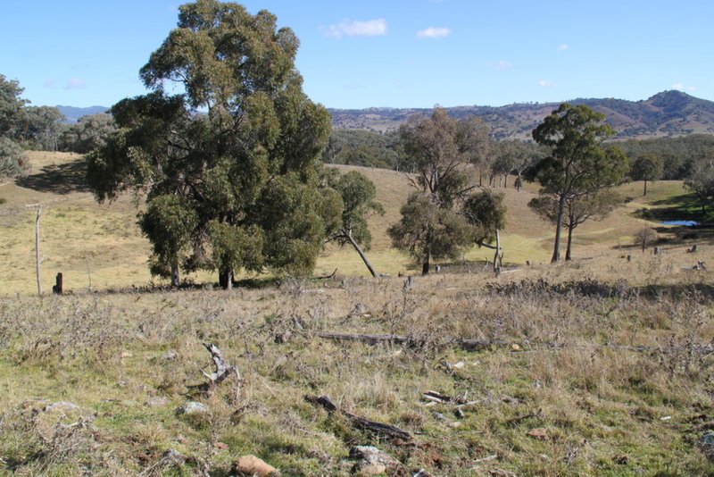 Photo - Lot 352 Splitters Gully Road, Nundle NSW 2340 - Image 5