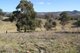 Photo - Lot 352 Splitters Gully Road, Nundle NSW 2340 - Image 5