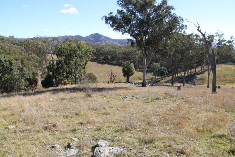 Photo - Lot 352 Splitters Gully Road, Nundle NSW 2340 - Image 7