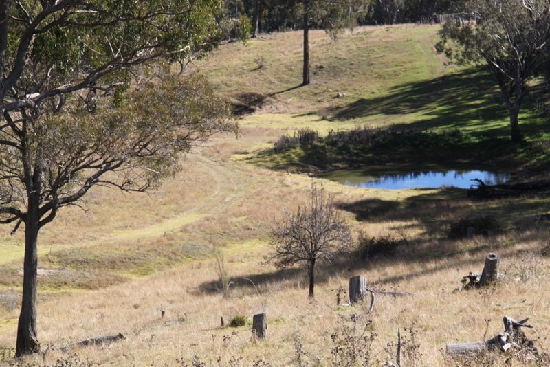 Photo - Lot 352 Splitters Gully Road, Nundle NSW 2340 - Image 8