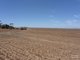 Photo - Lot 353 Bittner Road, Curramulka SA 5580 - Image 5