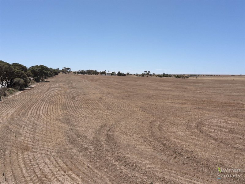 Photo - Lot 353 Bittner Road, Curramulka SA 5580 - Image 6