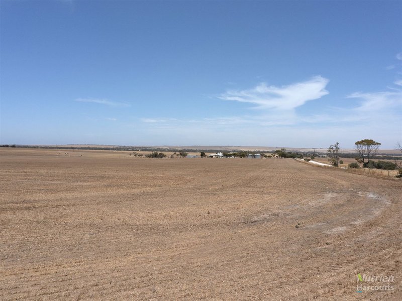 Photo - Lot 353 Bittner Road, Curramulka SA 5580 - Image 7