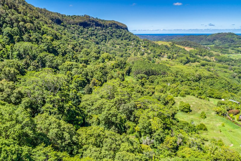 Photo - Lot 36 Denning Road, Currumbin Valley QLD 4223 - Image 5