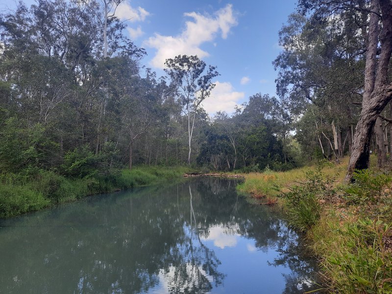 Photo - Lot 36 Emu Creek Rd , Good Night QLD 4671 - Image 4