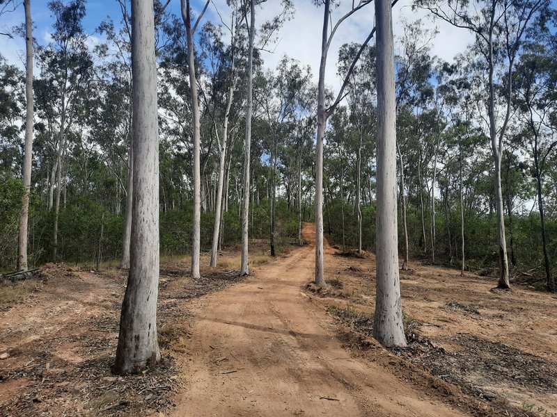 Photo - Lot 36 Emu Creek Rd , Good Night QLD 4671 - Image 7