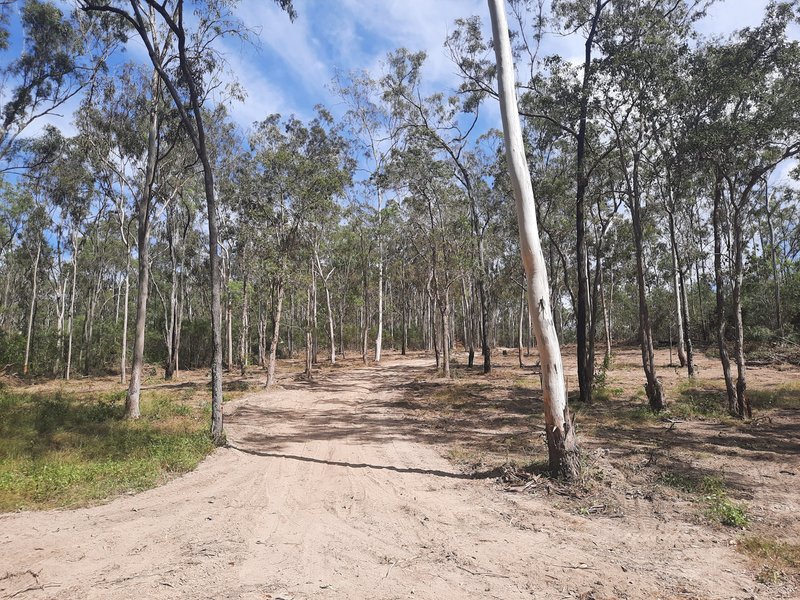 Photo - Lot 36 Emu Creek Rd , Good Night QLD 4671 - Image 8