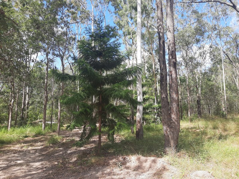 Photo - Lot 36 Emu Creek Rd , Good Night QLD 4671 - Image 10