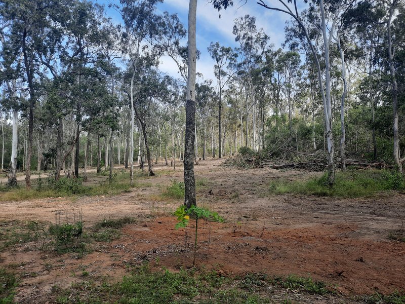 Photo - Lot 36 Emu Creek Rd , Good Night QLD 4671 - Image 11