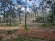 Photo - Lot 36 Emu Creek Rd , Good Night QLD 4671 - Image 11