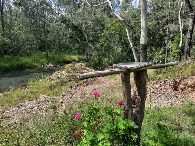 Photo - Lot 36 Emu Creek Rd , Good Night QLD 4671 - Image 14