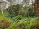 Photo - Lot 36 Gullies Road, Bundanoon NSW 2578 - Image 1