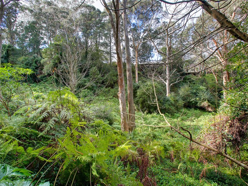 Photo - Lot 36 Gullies Road, Bundanoon NSW 2578 - Image 2