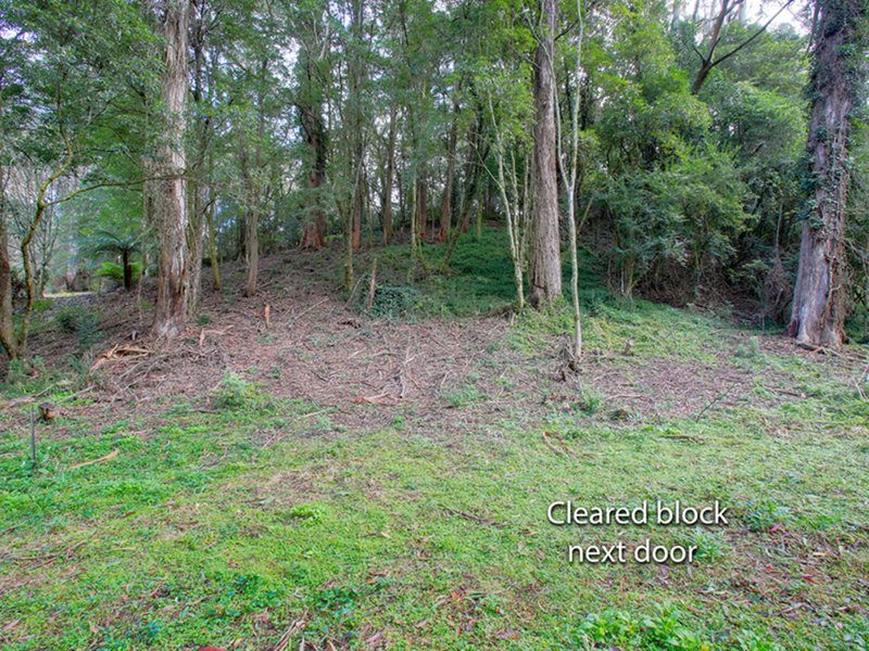 Photo - Lot 36 Gullies Road, Bundanoon NSW 2578 - Image 5