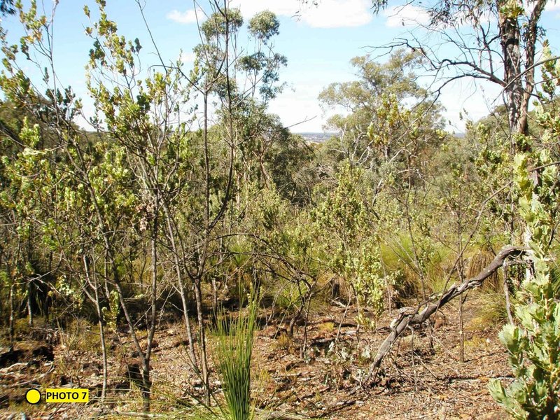 Photo - Lot 361 Robin Grove, Bindoon WA 6502 - Image 8