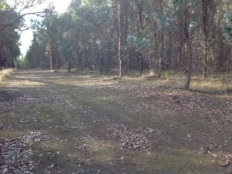 Photo - Lot 3618 Muir Highway, Dingup WA 6258 - Image 1