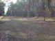 Photo - Lot 3618 Muir Highway, Dingup WA 6258 - Image 1