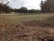 Photo - Lot 3618 Muir Highway, Dingup WA 6258 - Image 2