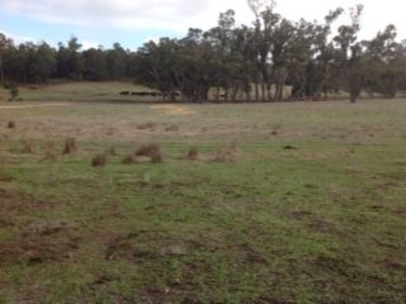 Photo - Lot 3618 Muir Highway, Dingup WA 6258 - Image 3