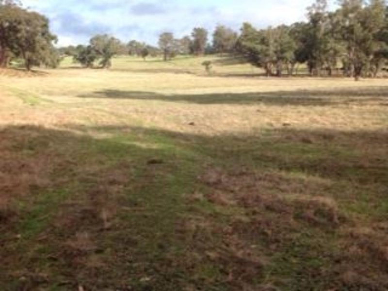 Photo - Lot 3618 Muir Highway, Dingup WA 6258 - Image 5