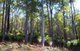 Photo - Lot 3649 Gardiner Road, Nannup WA 6275 - Image 3