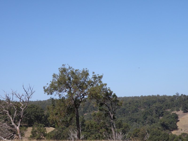 Photo - Lot 3649 Gardiner Road, Nannup WA 6275 - Image 8