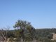 Photo - Lot 3649 Gardiner Road, Nannup WA 6275 - Image 8