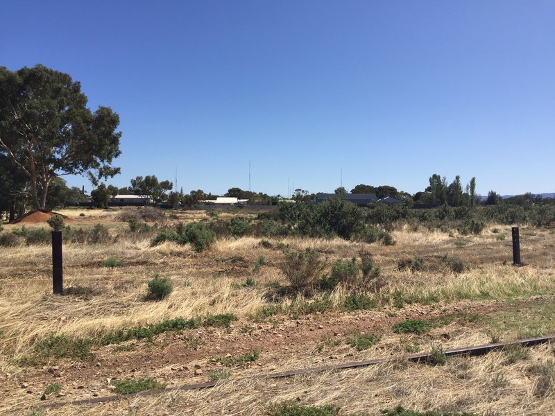 Photo - Lot 366 Haslam Road, Port Pirie SA 5540 - Image 5