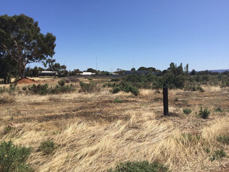 Photo - Lot 366 Haslam Road, Port Pirie SA 5540 - Image 6