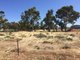 Photo - Lot 366 Haslam Road, Port Pirie SA 5540 - Image 7