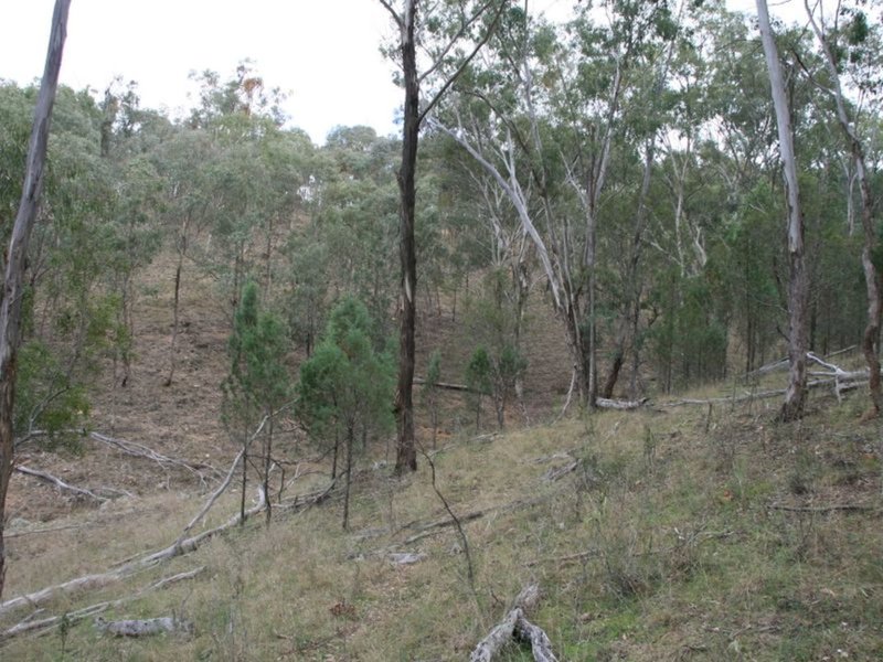 Photo - Lot 37 Glenlyon Dam Road, Stanthorpe QLD 4380 - Image 10