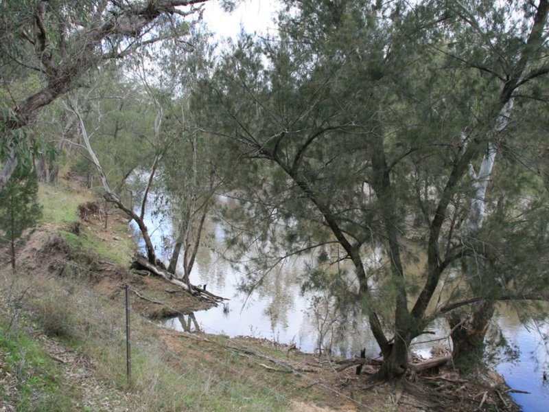 Photo - Lot 37 Glenlyon Dam Road, Stanthorpe QLD 4380 - Image 12