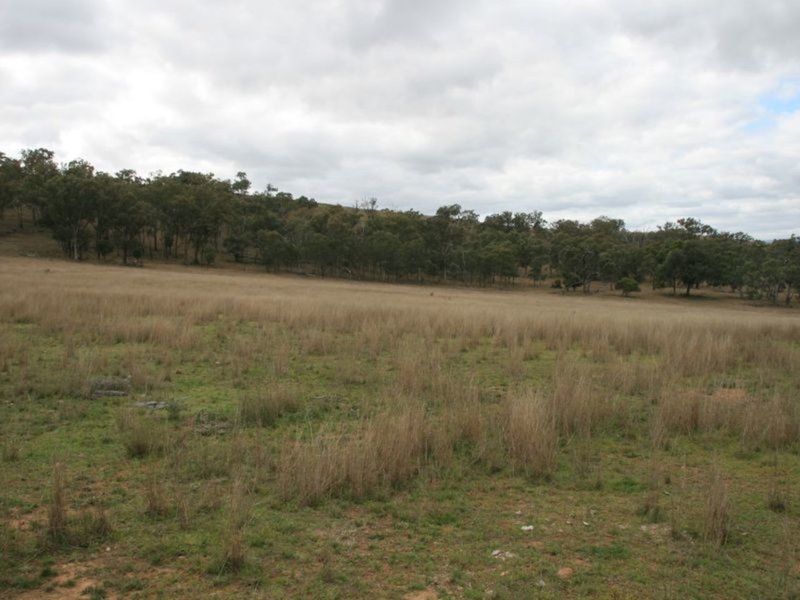 Photo - Lot 37 Glenlyon Dam Road, Stanthorpe QLD 4380 - Image 13