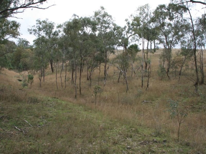 Photo - Lot 37 Glenlyon Dam Road, Stanthorpe QLD 4380 - Image 14