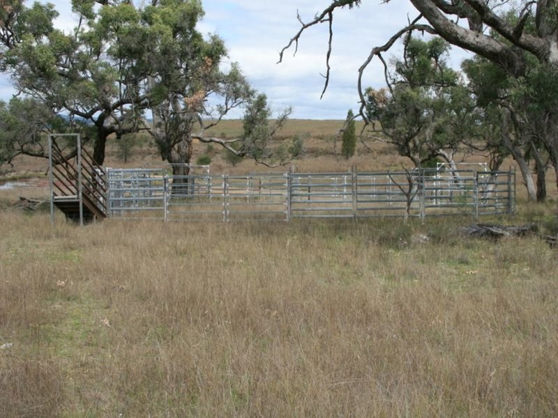 Photo - Lot 37 Glenlyon Dam Road, Stanthorpe QLD 4380 - Image 16