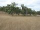 Photo - Lot 37 Glenlyon Dam Road, Stanthorpe QLD 4380 - Image 17