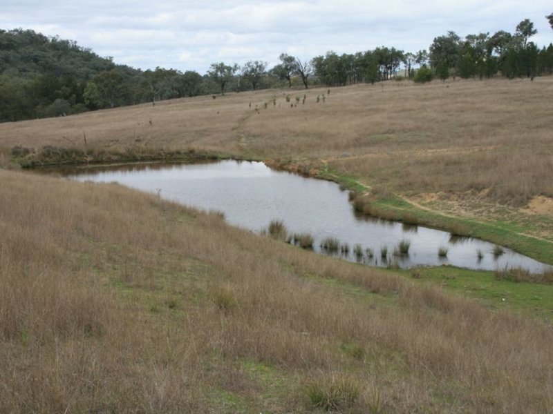 Photo - Lot 37 Glenlyon Dam Road, Stanthorpe QLD 4380 - Image 18