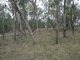 Photo - Lot 37 Glenlyon Dam Road, Stanthorpe QLD 4380 - Image 22