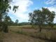 Photo - Lot 37 Wetherby Road, Mount Molloy QLD 4871 - Image 5