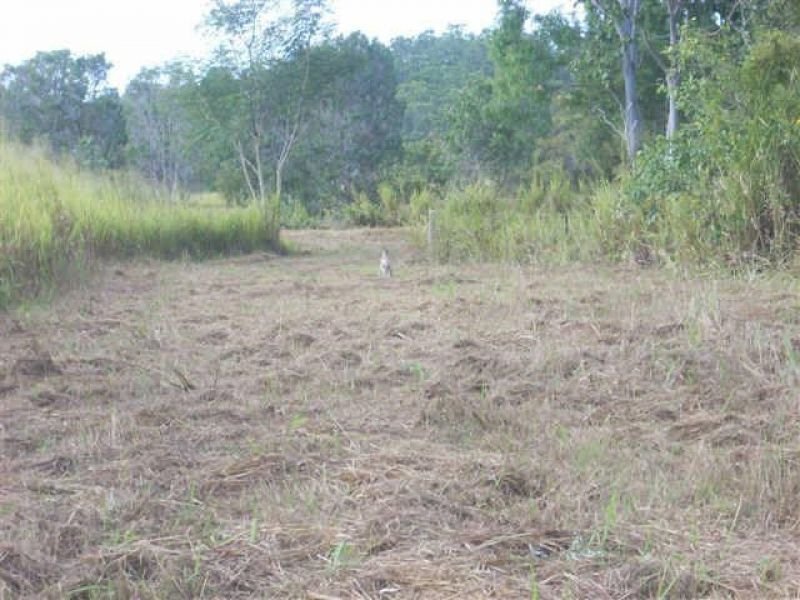 Photo - Lot 37 Wetherby Road, Mount Molloy QLD 4871 - Image 9