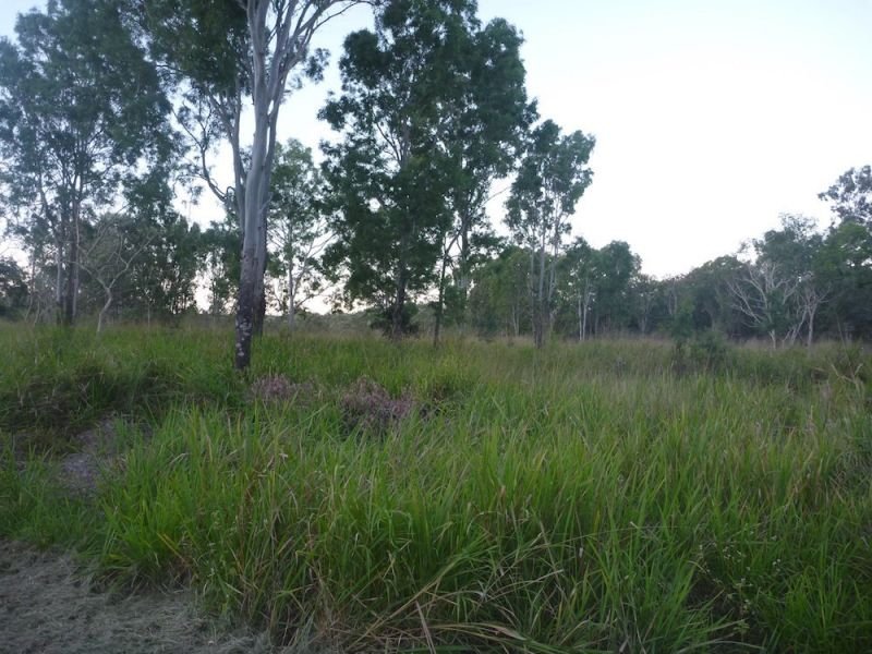 Photo - Lot 37 Wetherby Road, Mount Molloy QLD 4871 - Image 10