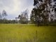 Photo - Lot 37 Wetherby Road, Mount Molloy QLD 4871 - Image 14